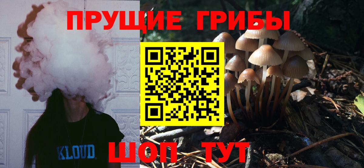 Псилоцибиновые грибы прущие грибы  Псилоцибиновые грибы Cubensis  Вход с VPN  Котлас 
